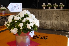 P1050457
