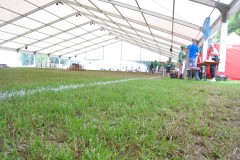 130623_Eidgenoessisches_Turnfest_Biel_-001