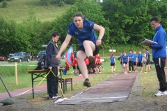 110528_006_SHVM