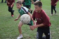 IMG_0826