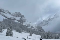 IMG-20250426-WA0324