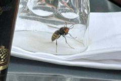 WhatsApp-Bild-2025-09-14-um-16.22.37_a8f1e6f8