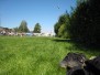 Turnfest Boswil 2012